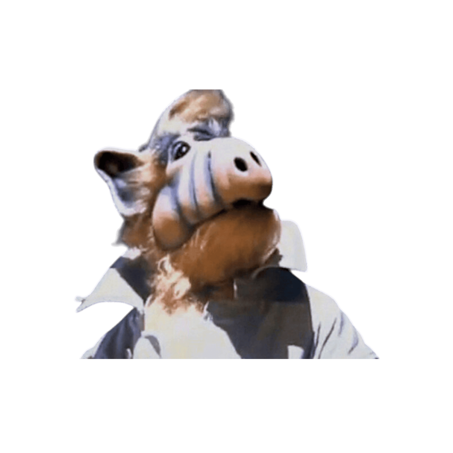 ALF