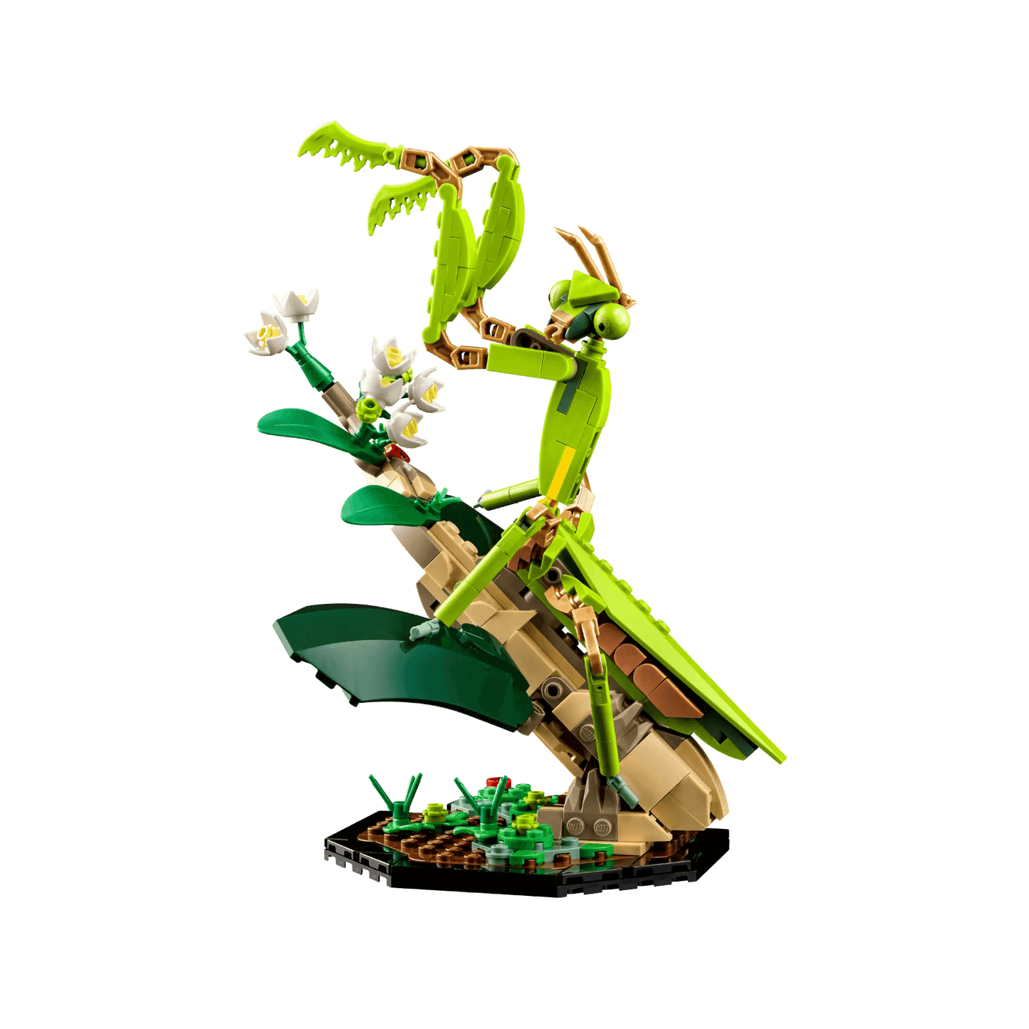 LEGO Ideas Kolekcja owadów 21342