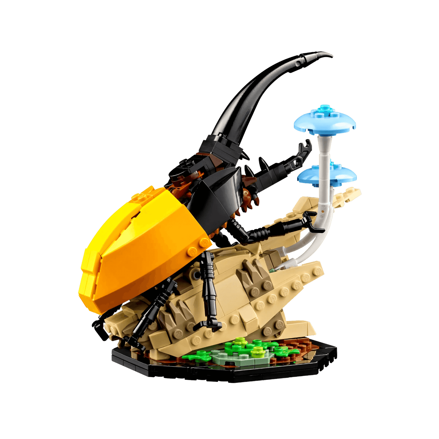 LEGO Ideas Kolekcja owadów 21342