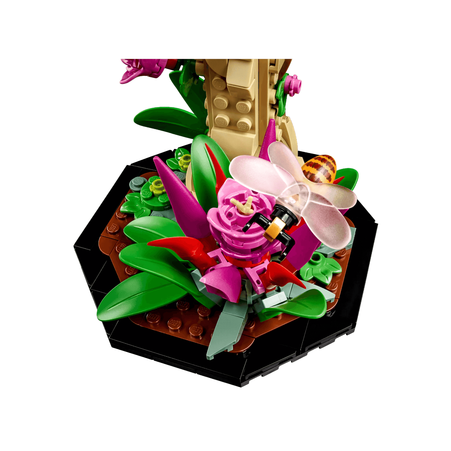 LEGO Ideas Kolekcja owadów 21342