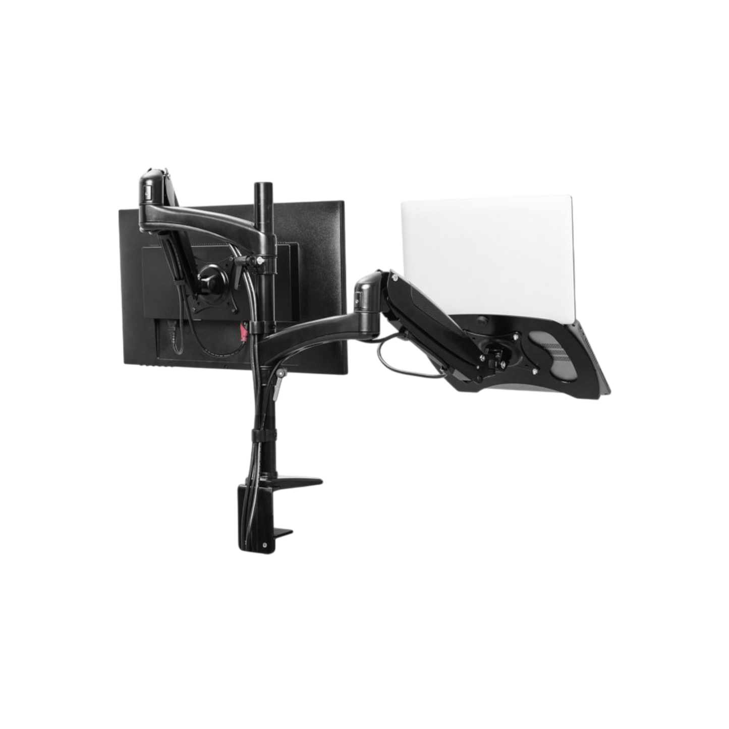 Uchwyt biurkowy na monitor i laptop Trust Mara do 32" 16kg