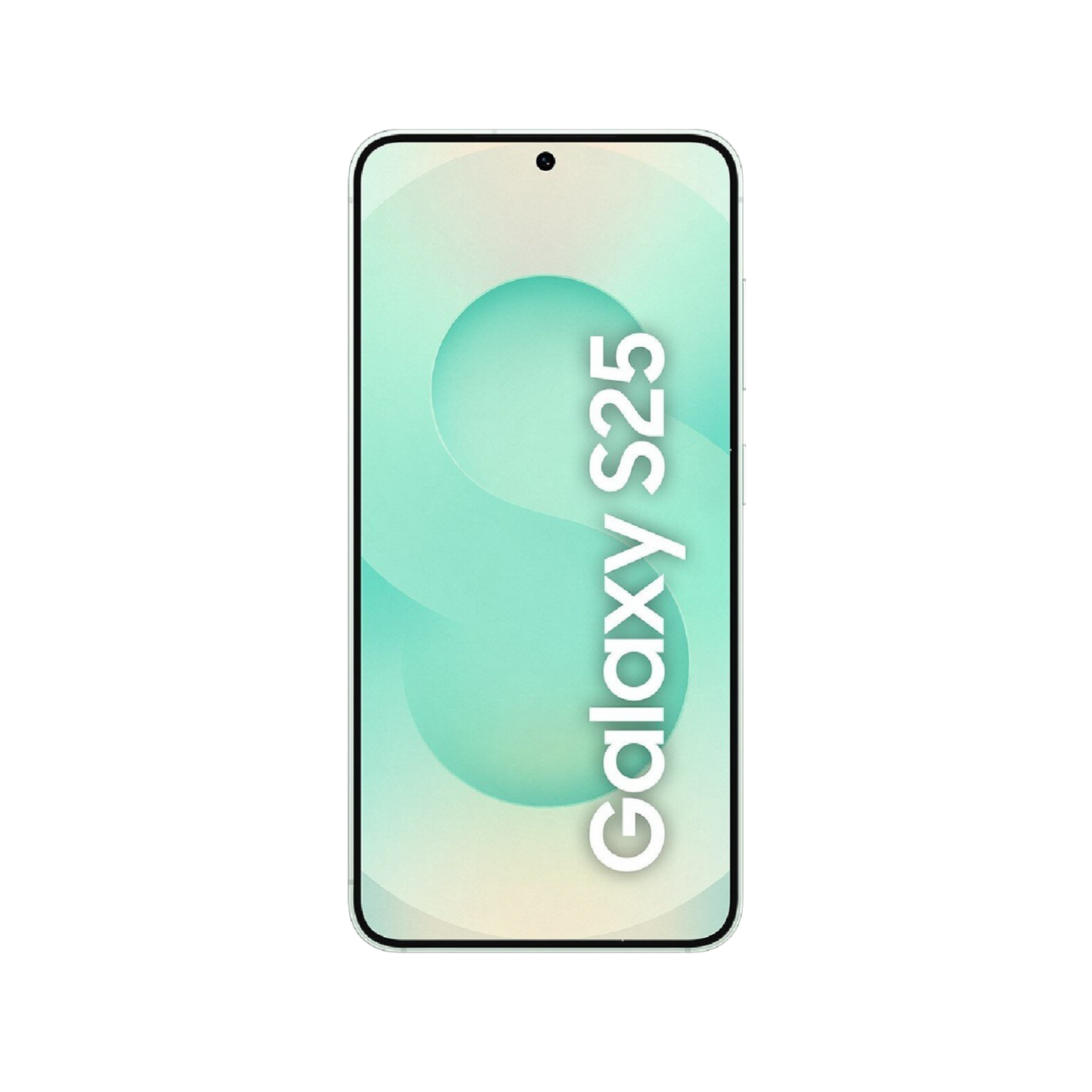 Smartfon Samsung Galaxy S25 5G