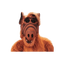 ALF