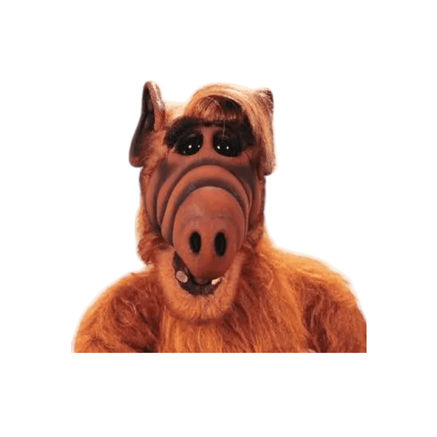 ALF