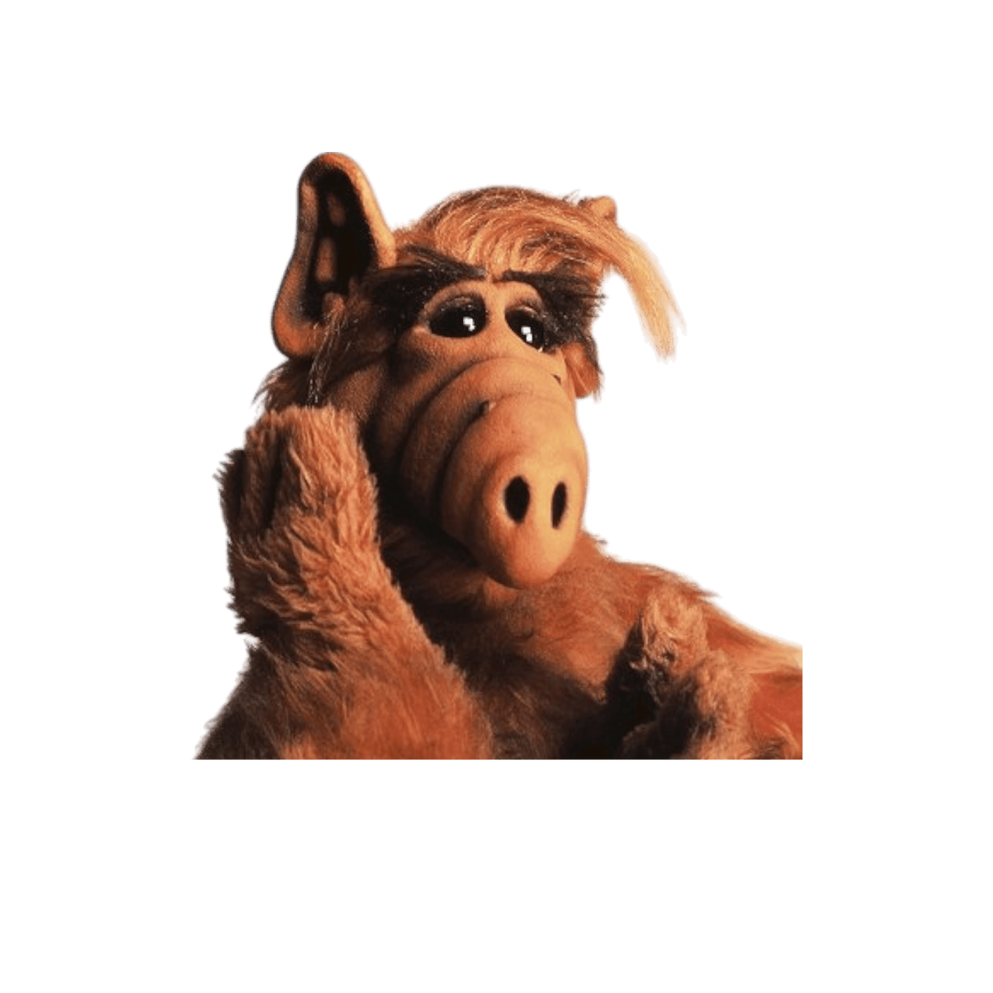 ALF