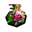 LEGO Ideas Kolekcja owadów 21342