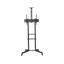 Stojak podłogowy do monitora Neomounts FL50-550BL1 37" - 70" VESA 50kg