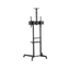 Stojak podłogowy do monitora Neomounts FL50-550BL1 37" - 70" VESA 50kg