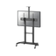 Stojak podłogowy do monitora Neomounts PLASMA-M1950E 60" - 100" VESA 100kg