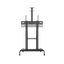 Stojak podłogowy do monitora Neomounts PLASMA-M1950E 60" - 100" VESA 100kg