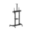 Stojak podłogowy do monitora Neomounts PLASMA-M1950E 60" - 100" VESA 100kg