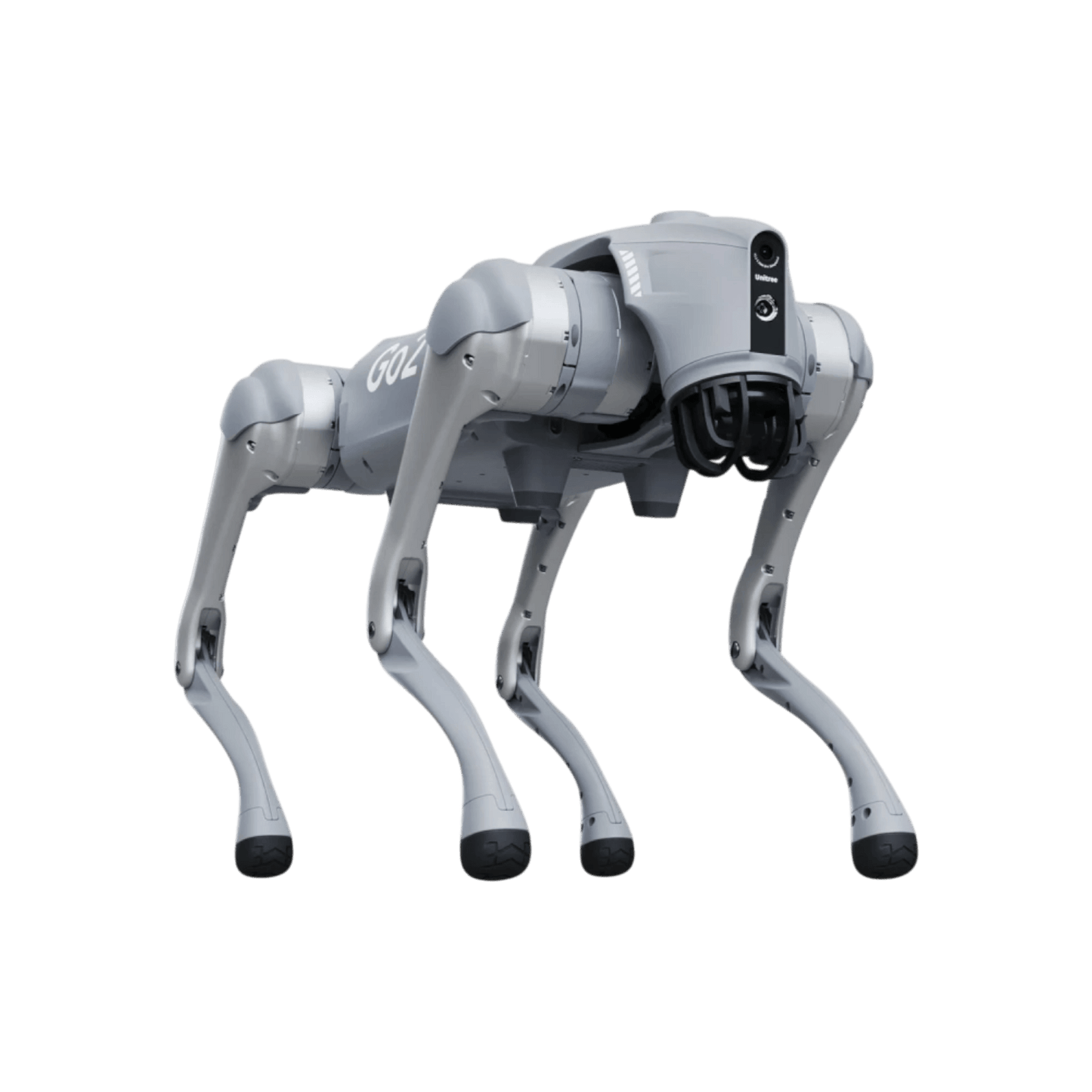 Robot czworonożny Unitree Go2