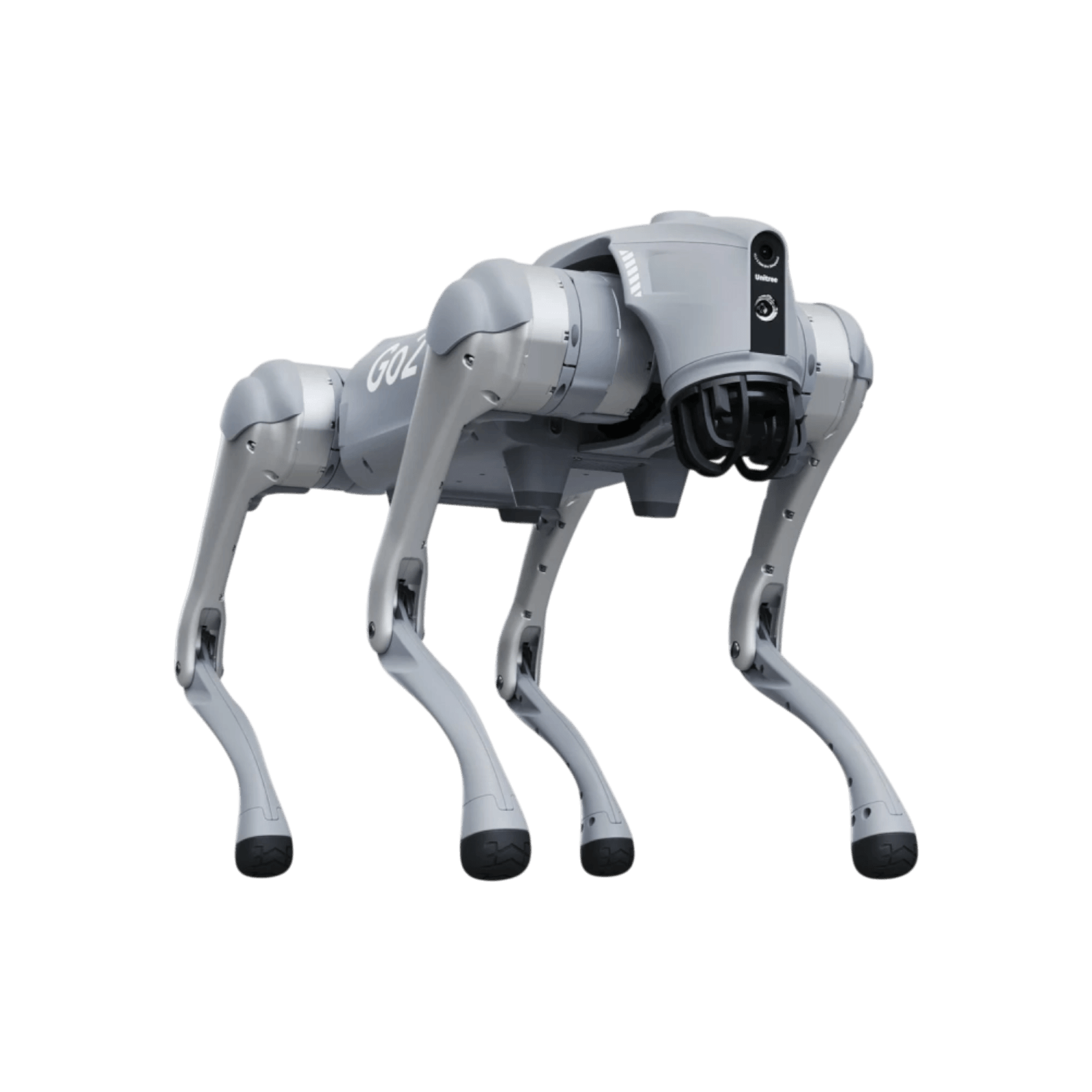 Robot czworonożny Unitree Go2